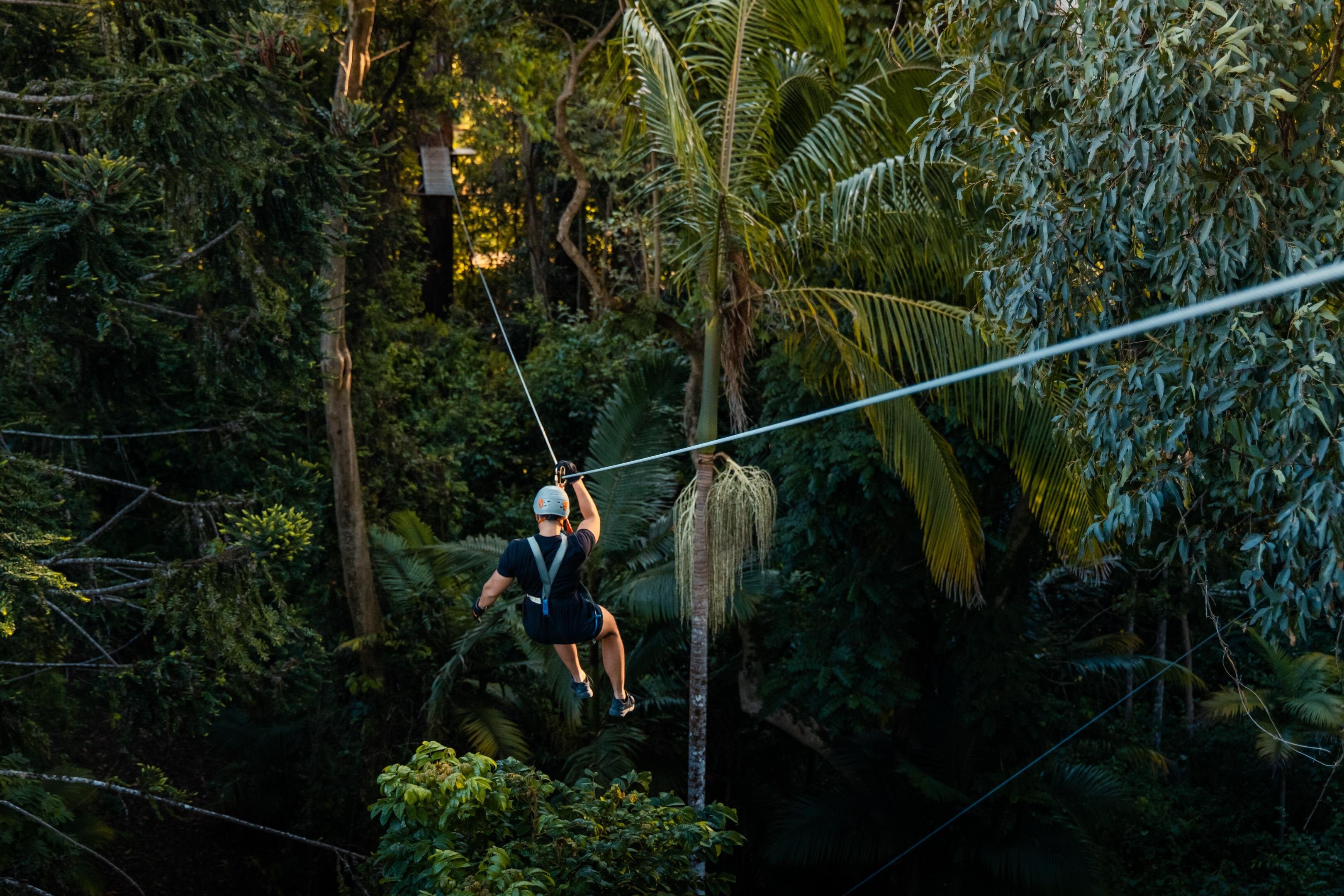 Tamborine Mountain TreeTop Challenge