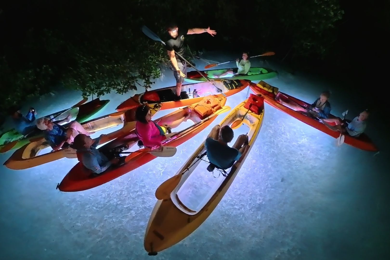 Night Kayak Guided Eco Tour