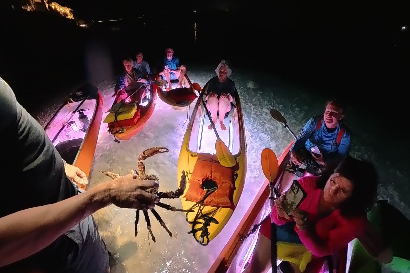 Night Kayak Guided Eco Tour