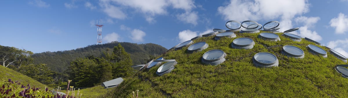 California Academy of Sciences cover