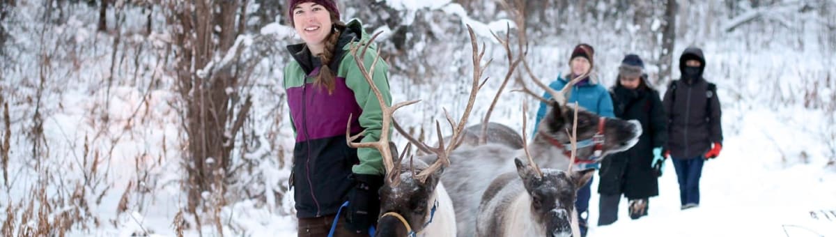 Running Reindeer Ranch cover