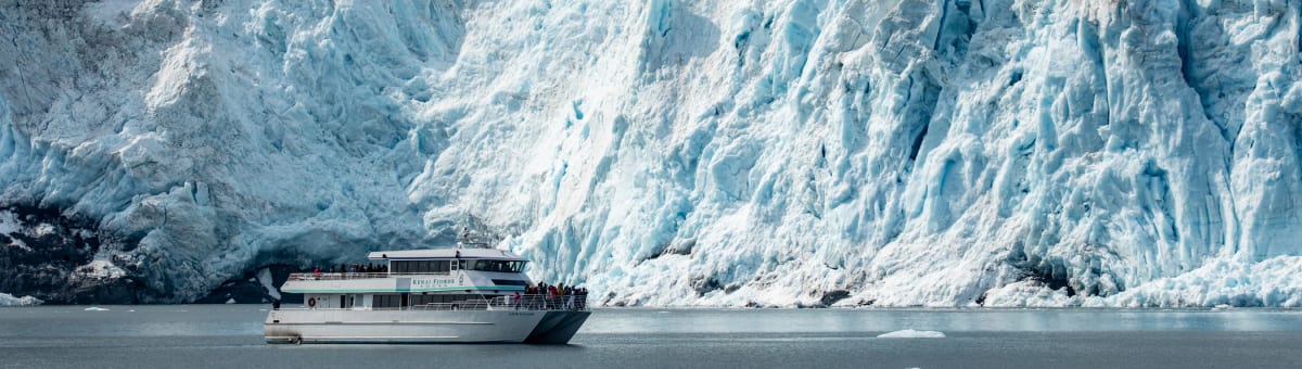 Kenai Fjords Tours cover