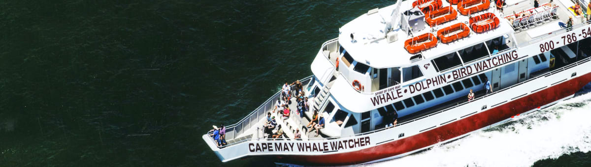 Cape May Whale Watcher cover