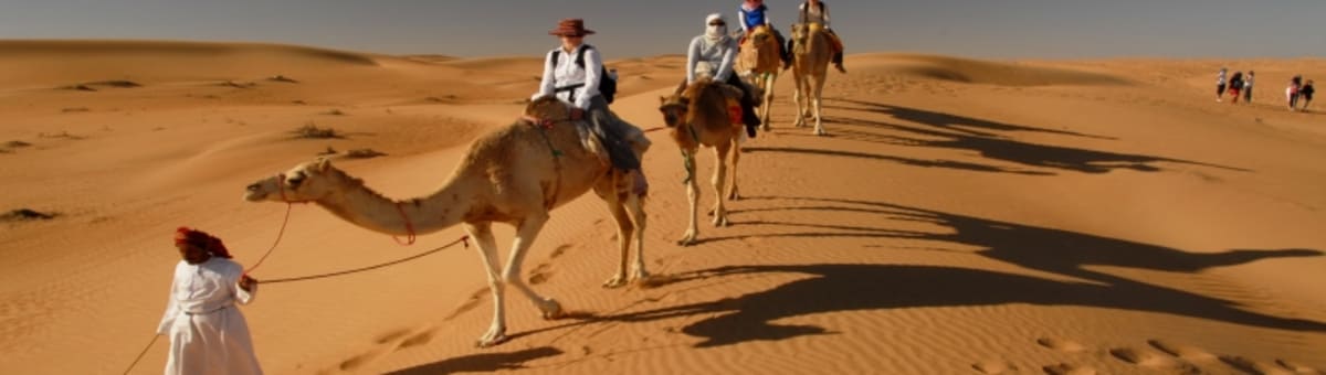 Oman Safari Tours cover
