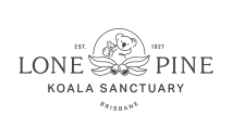 Lone Pine Koala Sanctuary