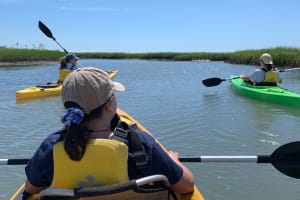 Eastern Shore National Wildlife Refuge Kayak Tour 4