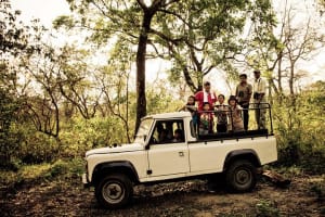 Chitwan Jungle Safari Tours 4