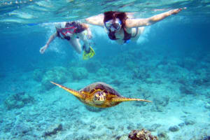 St. John Two-Stop Snorkel Sail with Picnic Lunch & Open Bar - Westin 4