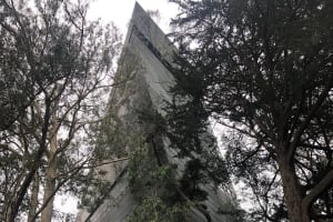 The Secrets of Golden Gate Park: A San Francisco Chronicle Self-Guided Tour 4