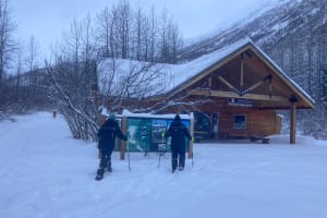 Guided Snowshoeing Adventure from Seward, Alaska 4