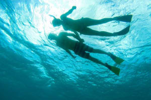St. John Full-Day Lime Out Snorkel Sail w/ Taco Lunch & Open Bar - Westin 4