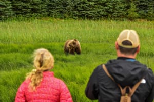 Alaska Bear Viewing Experience from Kenai, Alaska 4