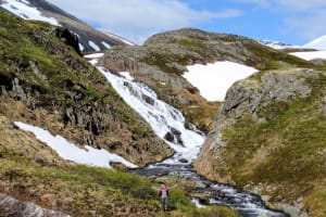 8-day Kenai Mountain & Glaciers Backpacking 3