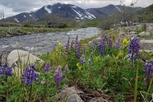 4-day Kenai Alpine Traverse from Seward, Alaska 3