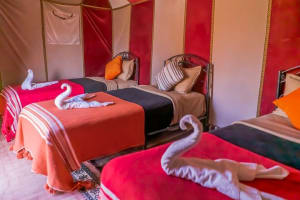 Overnight Camel Trekking in Merzouga Desert and Camping 4