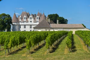 Bergerac Wine Tour Full Day Trip from Sarlat (private) 3