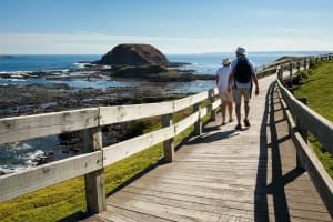 Penguins Express tour from Melbourne 4