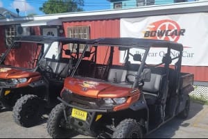 4X4 6-Seater Buggy Rental in Nassau 4