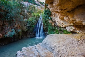 Masada, Ein Gedi & Dead Sea Tour from Tel Aviv 4