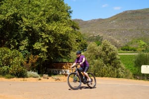 Franschhoek Half Day Winelands Cycle Tour 3