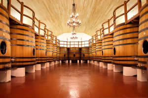 Cruise Excursion From Le Verdon Bordeaux Wine Tour to Médoc 4
