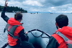Ketchikan Zodiac Boat Adventure  3