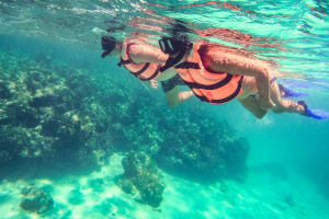 Beach Escape: Isla Contoy and Isla Mujeres with Snorkeling 4