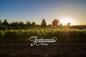  Furthermore Wines Sonoma Wine Tasting 4