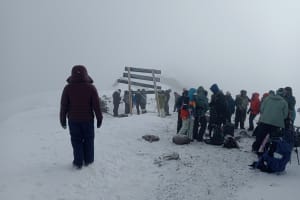Conquer Kilimanjaro: 7-Day Lemosho Route Expedition 4