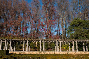 Serralves Park Discovery 3