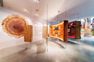 Museums: Discover the WOW World 3