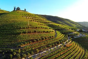 Douro Valley Wine Tour  3