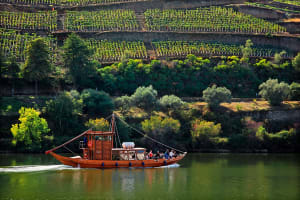 Full-Day Douro Valley Tour 4
