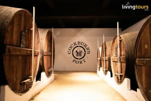 Half-Day Private Tour in Porto 3