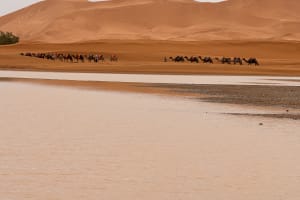  Morocco tours 15 days 3
