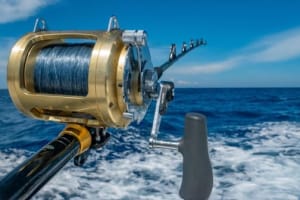 4 Hour Deep Sea Fishing Experience From Punta Cana 4