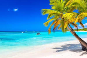 Punta Cana: Boat Tour to Isla Saona, Open Bar & Buffet Lunch 4
