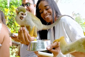 Monkeyland tour + Transportation from cruise/hotel 4