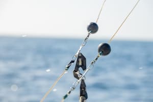 Desde Punta Cana: Excursión de Pesca en Alta Mar en Barco con Bebidas 3