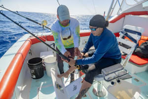 Desde Punta Cana: Excursión de Pesca en Alta Mar en Barco con Bebidas 4