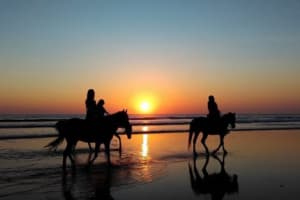 Dominican Republic: El Limón Waterfall Horseback Riding Tour 3