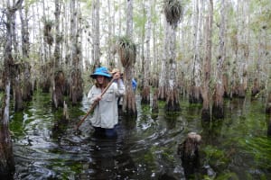 Everglades National Park Immersion Experience 3