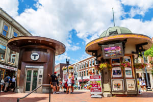 Harvard Square Donut Adventure 4