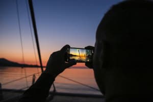 Dolphin Watching in Mallorca 4