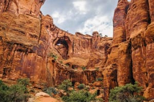 Moab Half Day Jeep Tour 4