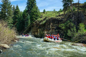 Piedra River 1 Day Rafting Trip - Pagosa Springs 4