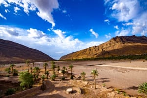 8 Day Morocco Tour From Casablanca 4