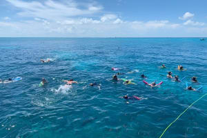Sombrero Reef Snorkeling Tour Marathon, FL + Molasses Key 4