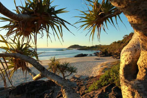 Full Day Learn To Surf Adventure Gold Coast 4