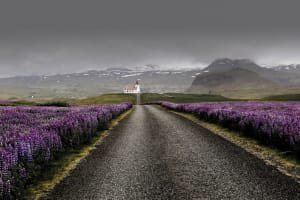 From Reykjavik: 6-Day Summer Tour Around Iceland by Minibus 3